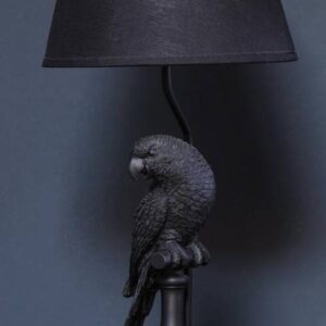 Perroquet Noir