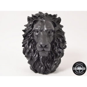 King tête de lion