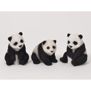 Faune panda