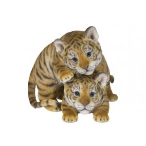 Faune tigers joueurs