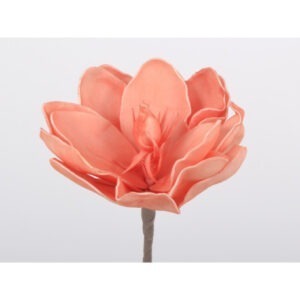 Flora tige fleur