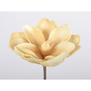 Flora tige fleur Crème