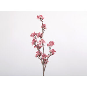 Flora branche fleurs multiple Rose