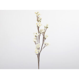Flora branche fleurs multiple Blanche