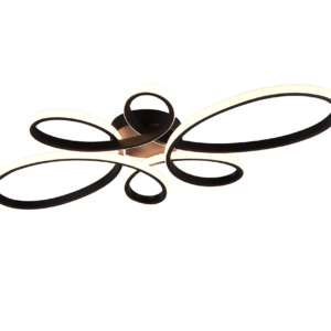 Fly