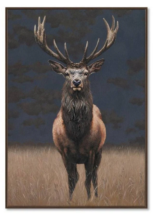 TOILE ENCADREE CERF dans champ Déco murale 70x100cm